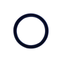 Sealing Ring